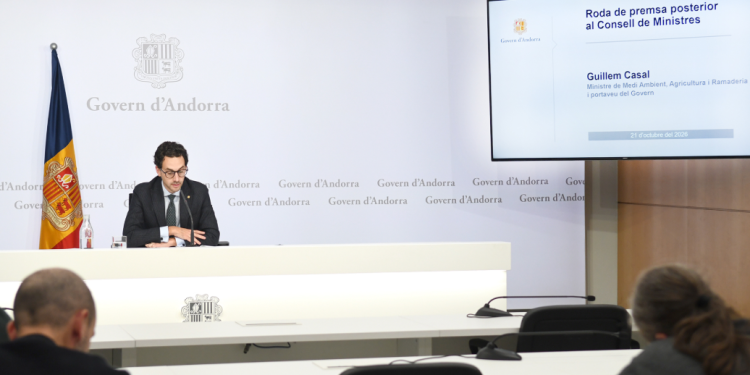 El ministre portaveu, Guillem Casal, durant la roda de premsa posterior al consell de ministres d'aquest dimecres.