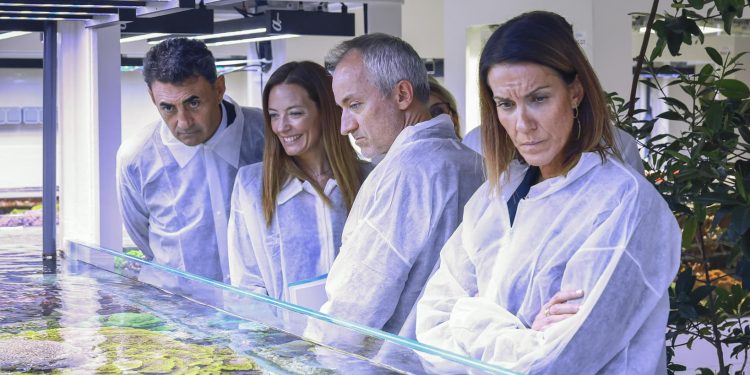 Visita ministres hospital Mònaco