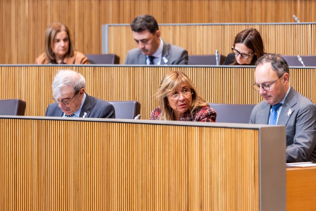 La ministra de Presidència, Economia, Treball i Habitatge, Conxita Marsol, durant la sessió de Consell General d'aquest dijous. Foto: Consell General