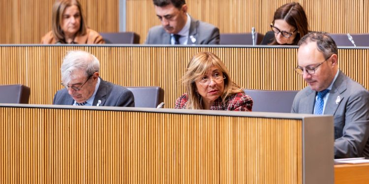 La ministra de Presidència, Economia, Treball i Habitatge, Conxita Marsol, durant la sessió de Consell General d'aquest dijous. Foto: Consell General